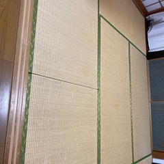 畳　6畳分