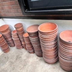 植木鉢　丸鉢　テラコッタ　素焼き　盆栽鉢