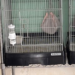 モモンガ など小動物に