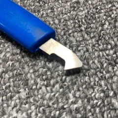 アクリサンデー　の画像