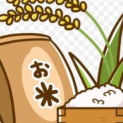 御縁い🌾R6年産 ななつぼし玄米10kg