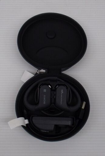 SONY ヘッドホン一体型ウォークマン Wシリーズ NW-WS625
