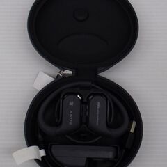 SONY ヘッドホン一体型ウォークマン Wシリーズ NW-WS625の画像