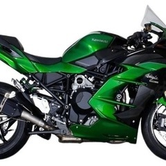 お値下げ⭐︎Ninja H2 IKAZUCHI ブラックエディション　マフラーの画像