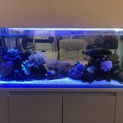 ガラス 水槽 120×45×45cm　ホワイト水槽台セット　コトブキ