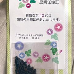 植木鉢　ガーデニングセットの画像