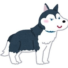犬友募集