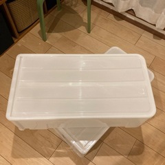 収納ケース[ニトリ]の画像