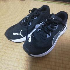 PUMA❪プーマ❫25cm 新品未使用
