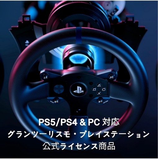 THRUSTMASTER T300