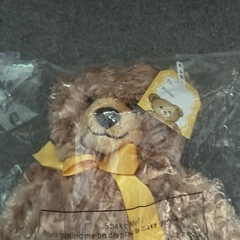 テディベアリュック　新品の画像