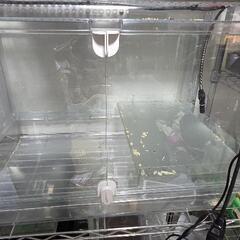 楽天市場】暖突 サーモスタットの通販