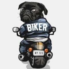 バイク友達募集＼(*⌒0⌒)♪  冷やかしお断り！