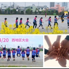 ドッジボールメンバー大募集中‼️