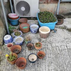 植木鉢 各種