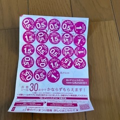 山パンシール18、5点