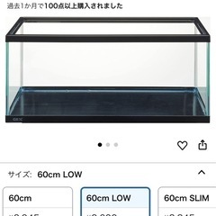 らんちゅう水槽　60センチ