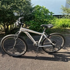 自転車