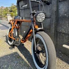 ブロンクスバギー　限定カラー