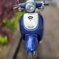 ホンダ ジョルノ 不動