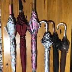 婦人用傘6点セット