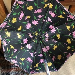 婦人用傘6点セットの画像