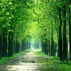 日々の暮らしに＋αを...🍀🍀