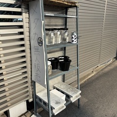 メダカ無人販売です✨アキナめだか☺️