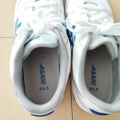 ASAHI 体育館シューズ24.5cm、中古美品の画像