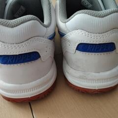 ASAHI 体育館シューズ24.5cm、中古美品の画像