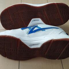 ASAHI 体育館シューズ24.5cm、中古美品の画像