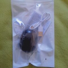 2025年ブラック　新世代ワイヤレスイヤホン　未開封品　