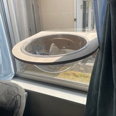 月末限定　 猫、空中ベッドの画像