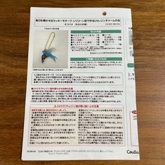 felissimo UVレジンチャームの会