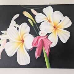 【期間限定セール】バリ島ハワイアン南国　プルメリア　アート絵画