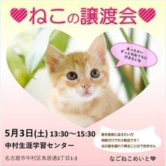 ゴールデンウィーク猫の譲渡会