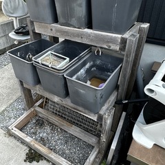 屋外メダカ飼育ラック容器セットの画像
