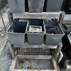 屋外メダカ飼育ラック容器セットの画像