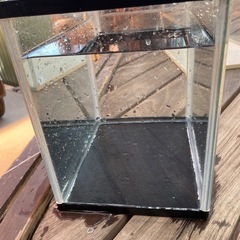 中古
水槽の画像