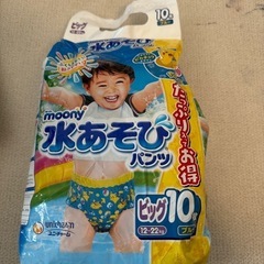 水あそびパンツ　ビッグ