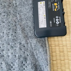 ホットカーペットの画像
