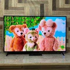 即日受渡❣️ネクシオン50V型液晶テレビ Wチューナー裏番組録画...