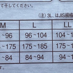 グンゼ　ランニングシャツ　Lサイズ　1枚の画像