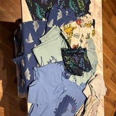 16着セット Tシャツ 男の子 90-100 下着 セット 双子 年子 恐竜の画像
