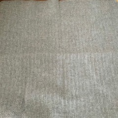 ホットカーペットの画像