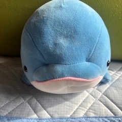 イルカのぬいぐるみ