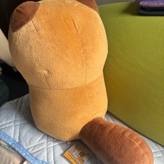 たぬきのぬいぐるみの画像