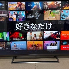49型4Kネット動画可テレビ&外付けHDD 1TB 付き
