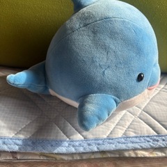 イルカのぬいぐるみの画像