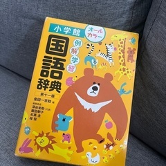 国語辞典　小学館　第十一版